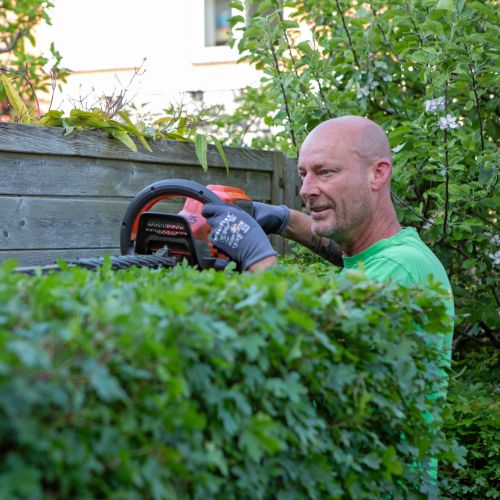 Dordrecht tuinonderhoud Tuinonderhoud