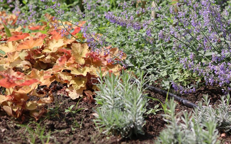 tuin beregening tuinberegening