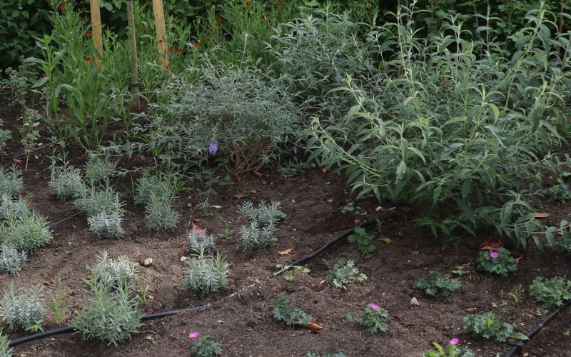 tuinberegening tuinberegening