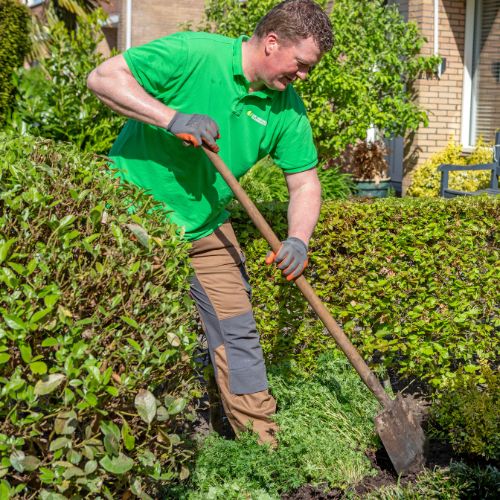 tuinonderhoud drechtsteden Tuinonderhoud prijzen