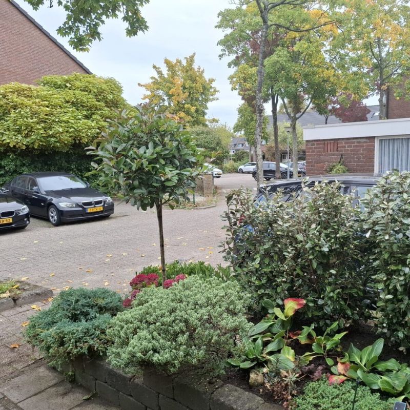 onderhoudsarme voortuin